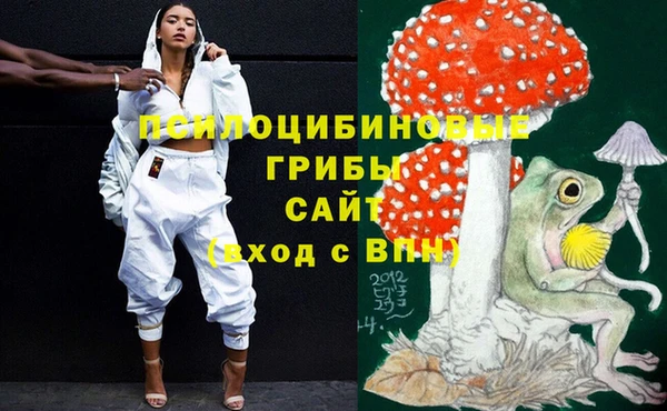 хмурый Куйбышев
