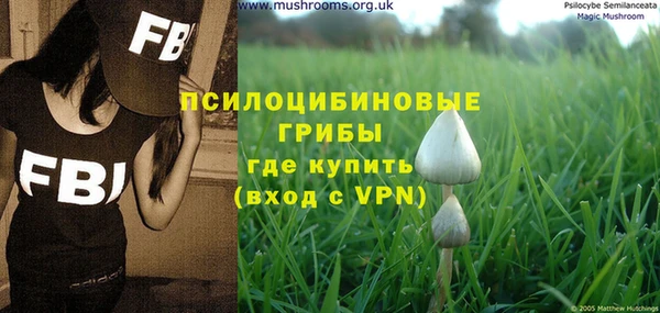 хмурый Куйбышев