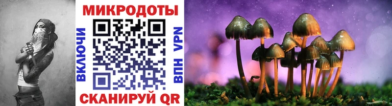 Псилоцибиновые грибы Magic Shrooms  Купить  Среднеколымск 